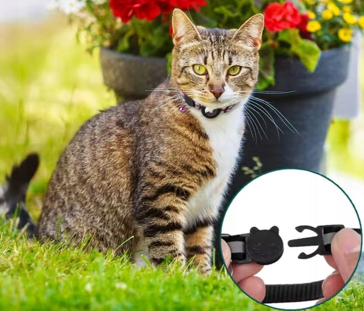 FindTag Obroża z lokalizatorem Bluetooth dla kota i psa, odblaskowa, 22-35 cm – czarna