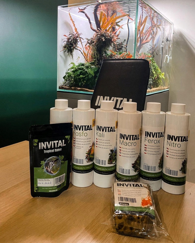 Invital Ferox nawóz do akwarium w płynie 500 ml – żelazo chelatowane DTPA dla roślin