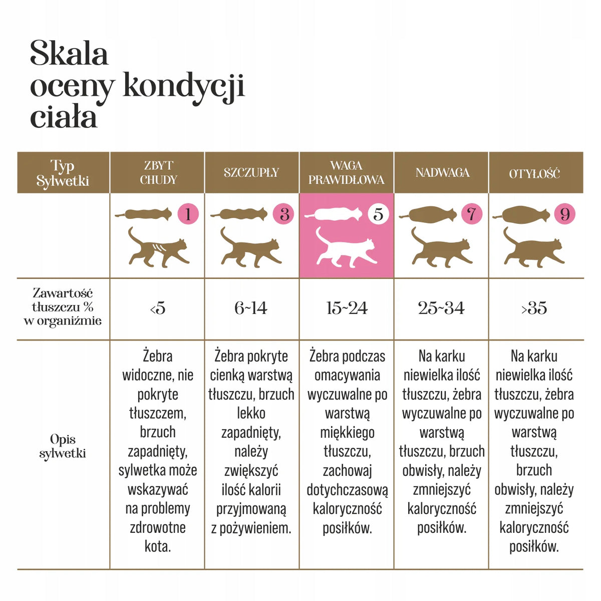 DrMalou Liofilizowana karma dla kota kurczak z kurzymi sercami 1 kg – bezzbożowa