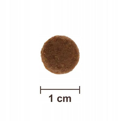 Feringa Adult Classic sucha karma dla kota z kaczką 2 kg – bezzbożowa, dla dorosłych