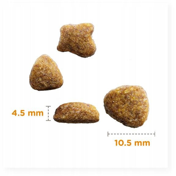 Iams Sensitive Digestion sucha karma dla kota dorosłego 10 kg z indykiem – lekkostrawna
