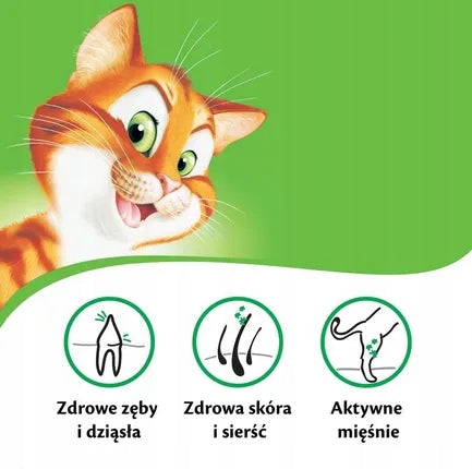 Kitekat sucha karma dla kota z kurczakiem i warzywami 12 kg – dla dorosłych kotów