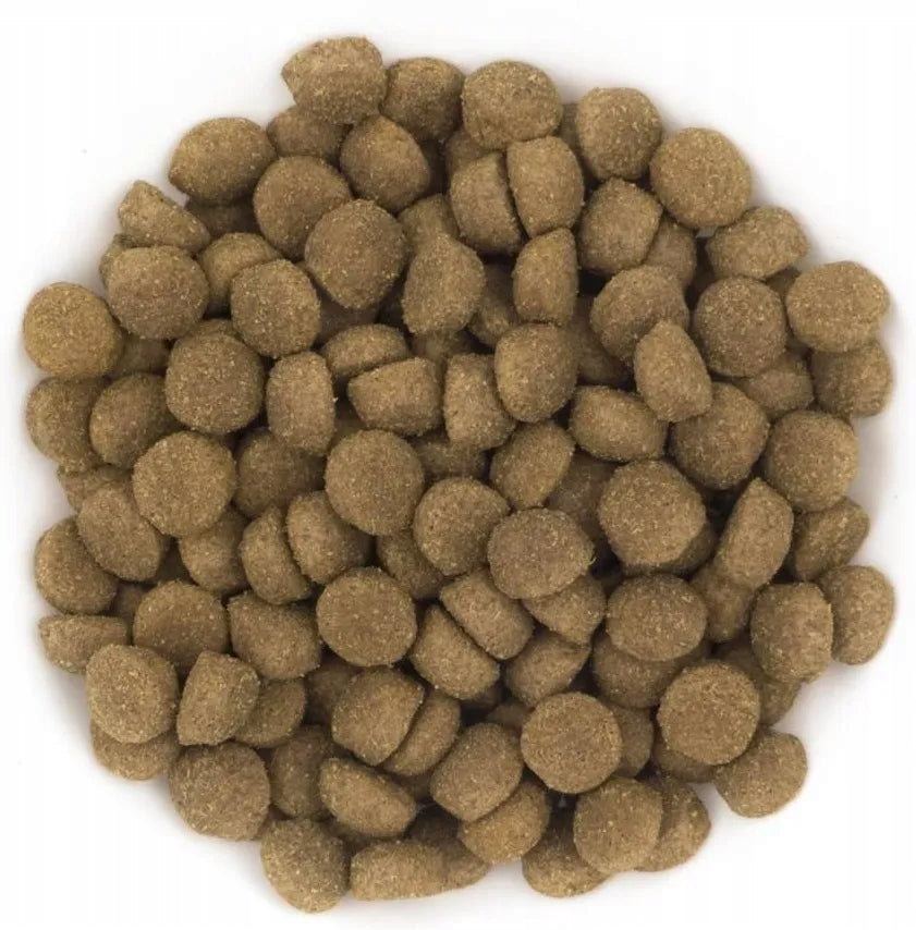 Avantis Pet Original sucha karma dla psa 15 kg – 40% mięsa, dorosłe psy ras średnich