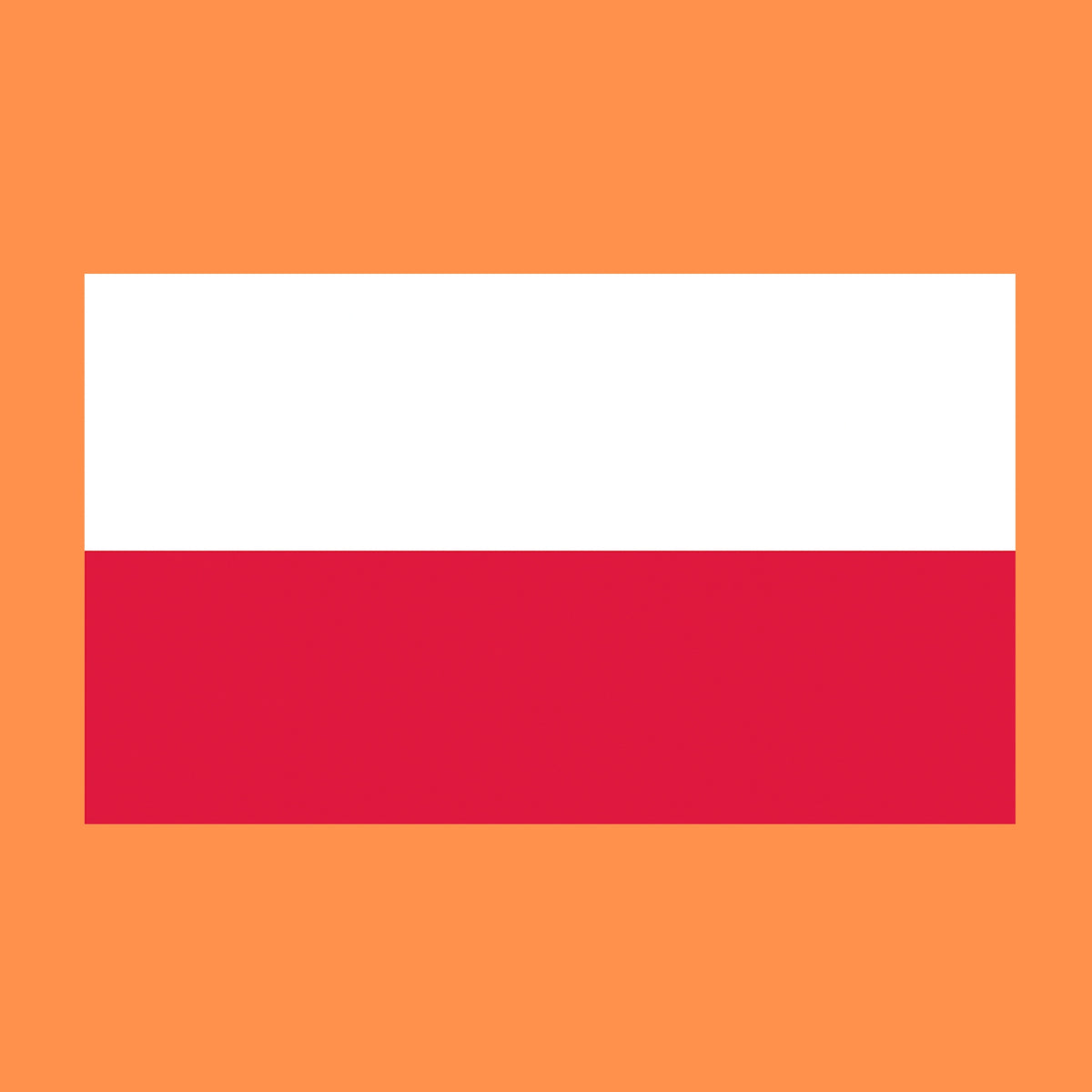 Mrożone surowe mięso wołowe dla psa BARF 10 kg – bez kości, bezzbożowe, 10 szt.