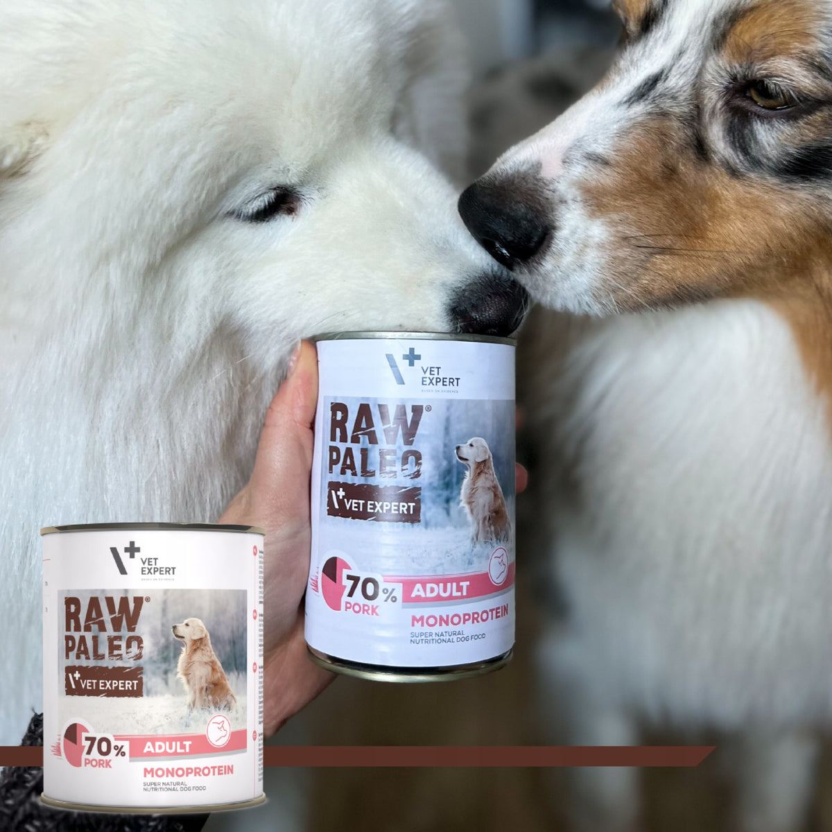 Raw Paleo mokra karma dla psa monobiałkowa z wieprzowiną 12 x 400 g – bezzbożowa, hipoalergiczna