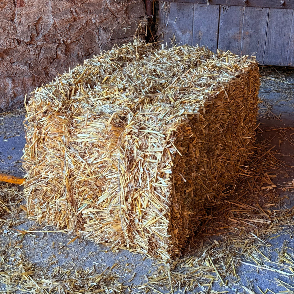 Słoma dla psa do budy – ściółka i legowisko w kostce 112 l, 75 x 50 cm, naturalna