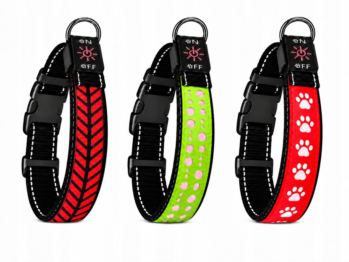 Świecąca obroża LED dla psa ładowana przez USB, 3 tryby świecenia – rozmiar S, 30-40 cm