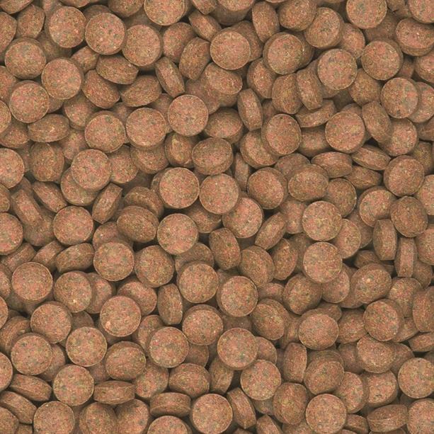 Supervit Tablets B pokarm dla ryb dennych 250 ml – tonące tabletki z beta-glukanem