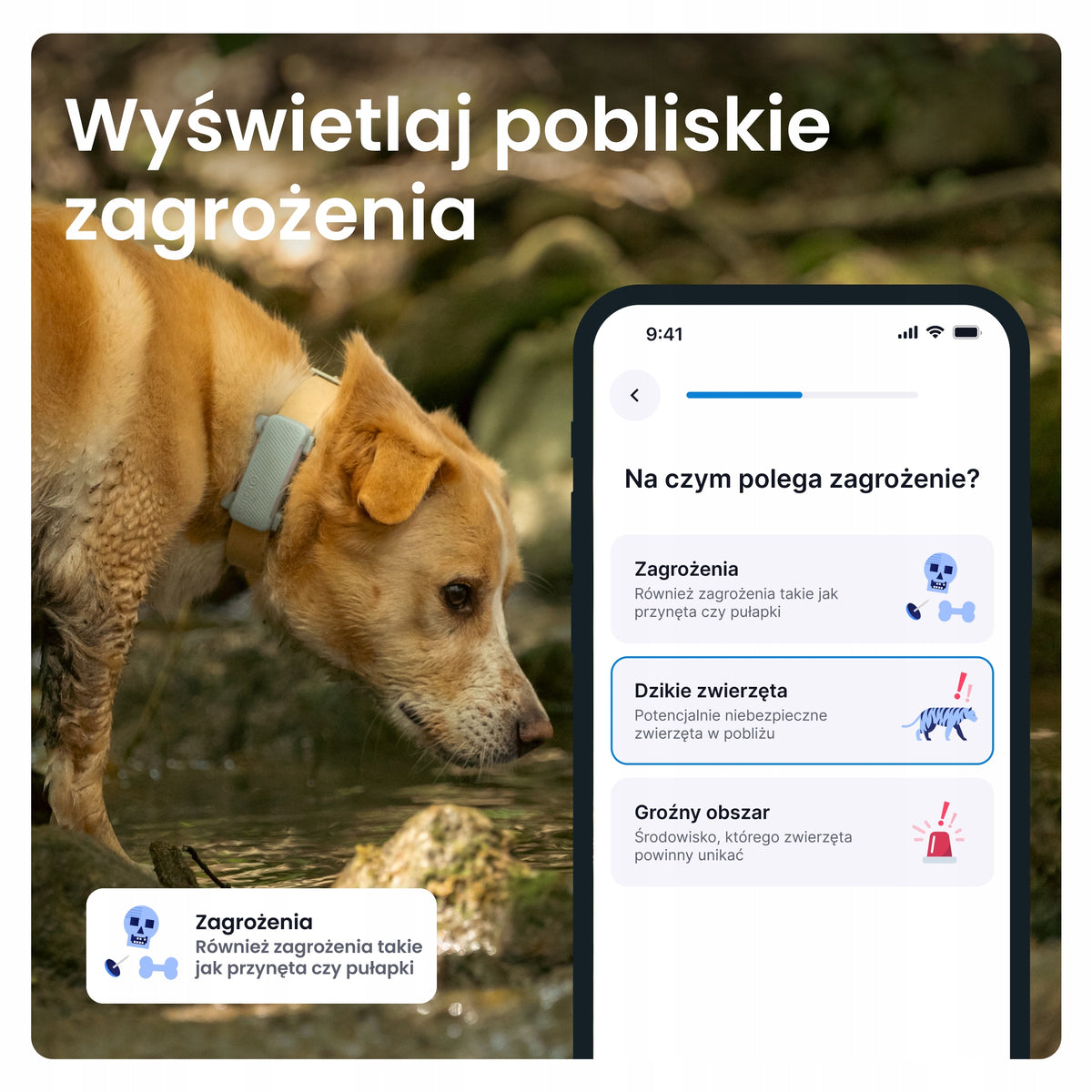 Tractive DOG 6 lokalizator GPS dla psa z LTE, wodoodporny IP68, 39 g – miętowy