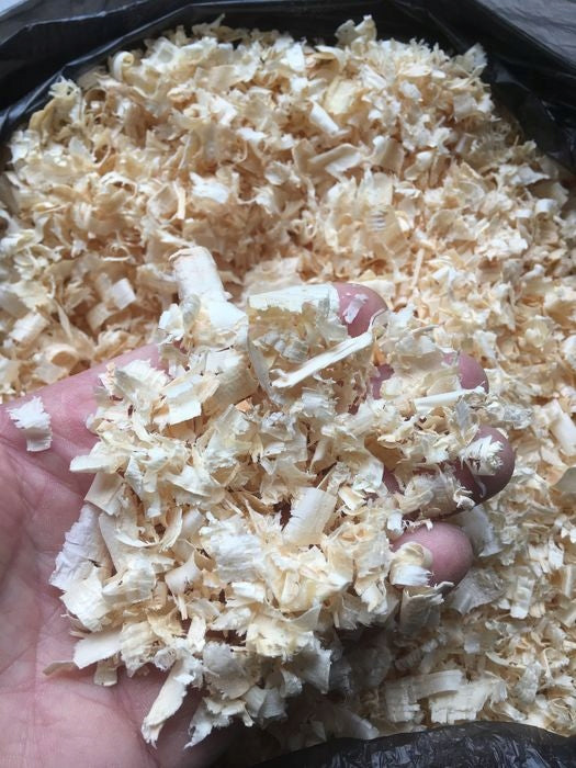 DOLCE VITA Trociny sosnowe odpylone 550 l / 20 kg – ściółka dla koni, gryzoni i królików