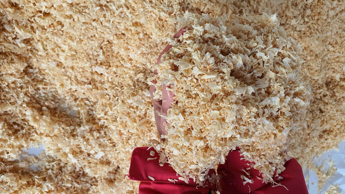 More & Good Trociny dla gryzoni i królików 75 l, 5 kg – odpylone, z drewna iglastego
