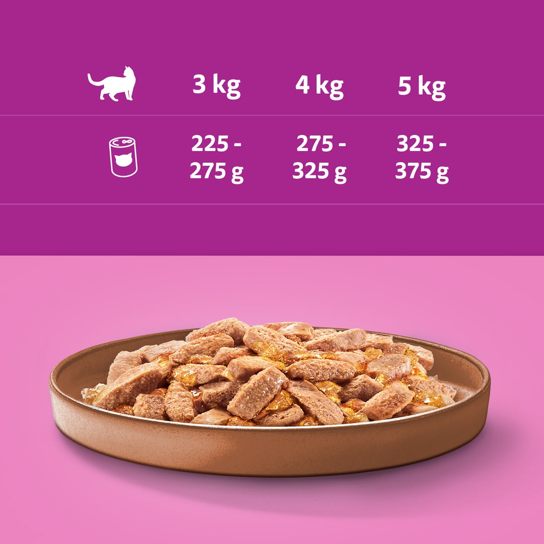Whiskas mokra karma dla kota z kaczką w galaretce 24 x 400 g – puszka, koty dorosłe