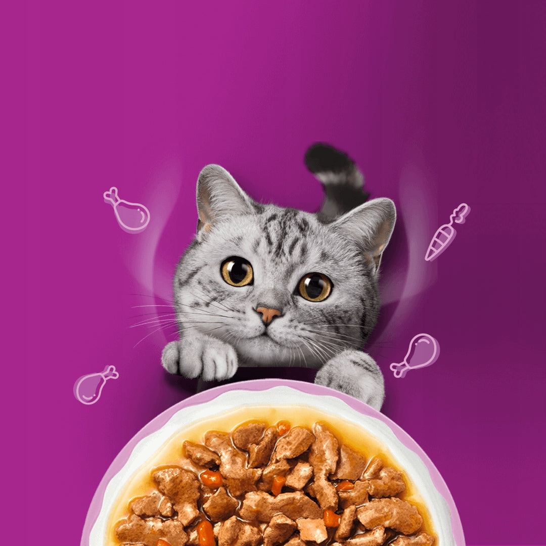 Whiskas Aromatic mokra karma dla kota w sosie 40x85 g – saszetki, mix smaków