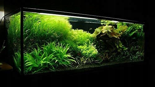 Piasek kwarcowy do akwarium, terrarium i doniczek – barwiony, odporny na UV, czarny
