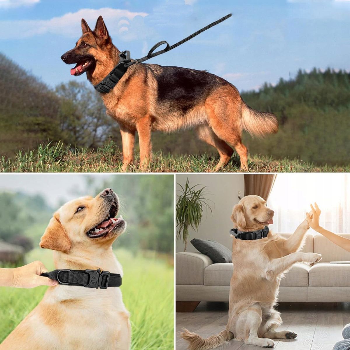 Zgeer Obroża taktyczna dla psa ze smyczą bungee, nylon 1680D, rozmiar L 42-54 cm – czarna