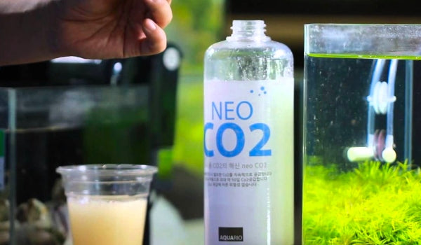 Invital Generator CO2 do akwarium z butlą 2 l – zawór elektromagnetyczny, wyłączanie nocne