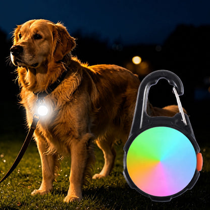 Lampka LED dla psa na obrożę i szelki 2 szt. – ładowana USB-C, wodoodporna IP68, biała