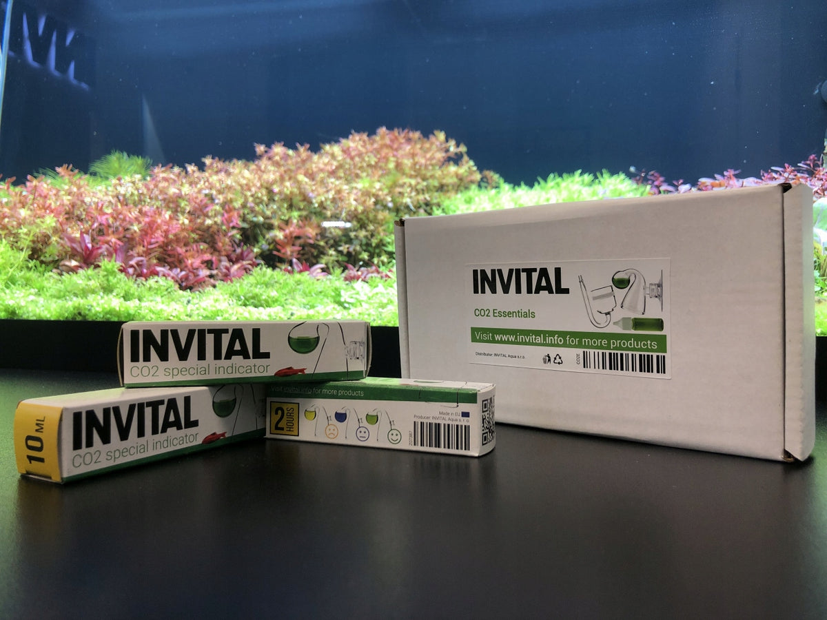 Invital Zestaw CO2 do akwarium 5 l z reduktorem, dyfuzorem i zaworem 12 V – nocne wyłączanie