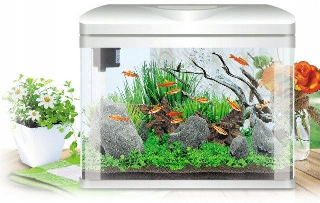 Invital EasyTank PRO zestaw akwariowy 49 l z filtrem i oświetleniem LED – białe