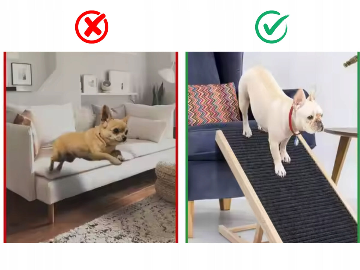 Zaxer Schody dla psa i kota 4 stopnie, 45 cm, składane z regulacją – lite drewno, do 50 kg