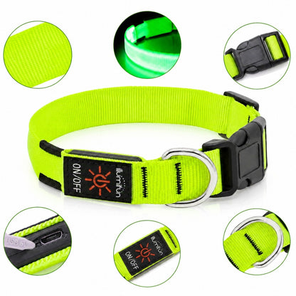 Świecąca obroża LED dla psa M ładowana USB-C, wodoodporna, 3 tryby, 40-50 cm – zielona