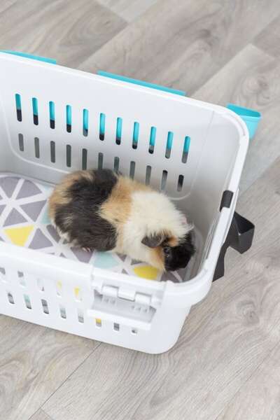 Trixie Transporter dla kota i psa do 5 kg Midi-Capri otwierany od góry – szaro-turkusowy