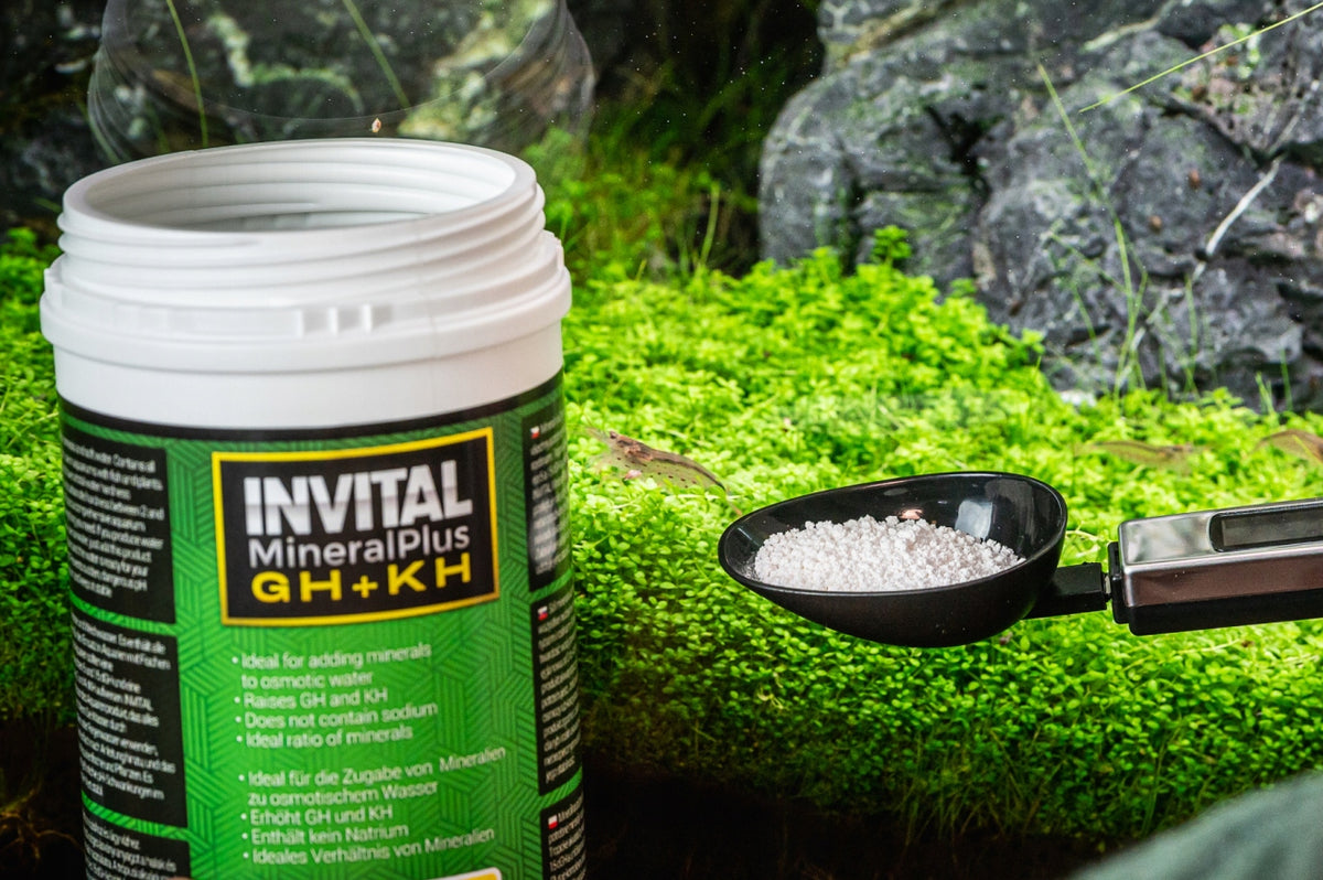 Invital MineralPlus GH+KH 250 g – sól mineralna do wody RO, podnosi twardość GH i KH