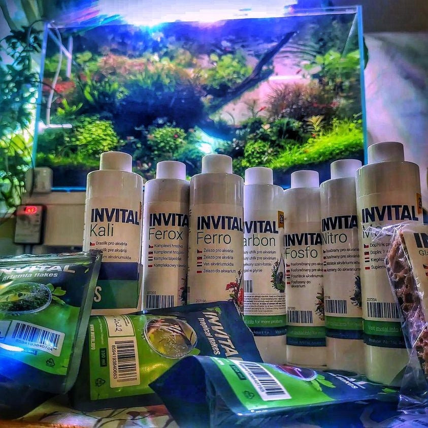 Invital Ferox nawóz do akwarium w płynie 500 ml – żelazo chelatowane DTPA dla roślin