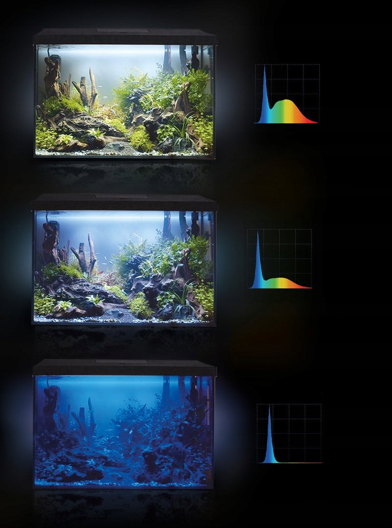 Wiwal akwarium 105 l 75x35x40 cm z pokrywą Aquael Leddy LED dzień/noc – czarna pokrywa