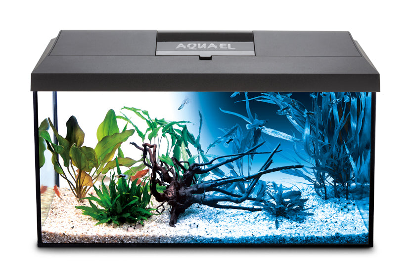 Wiwal akwarium 105 l 75x35x40 cm z pokrywą Aquael Leddy LED dzień/noc – czarna pokrywa