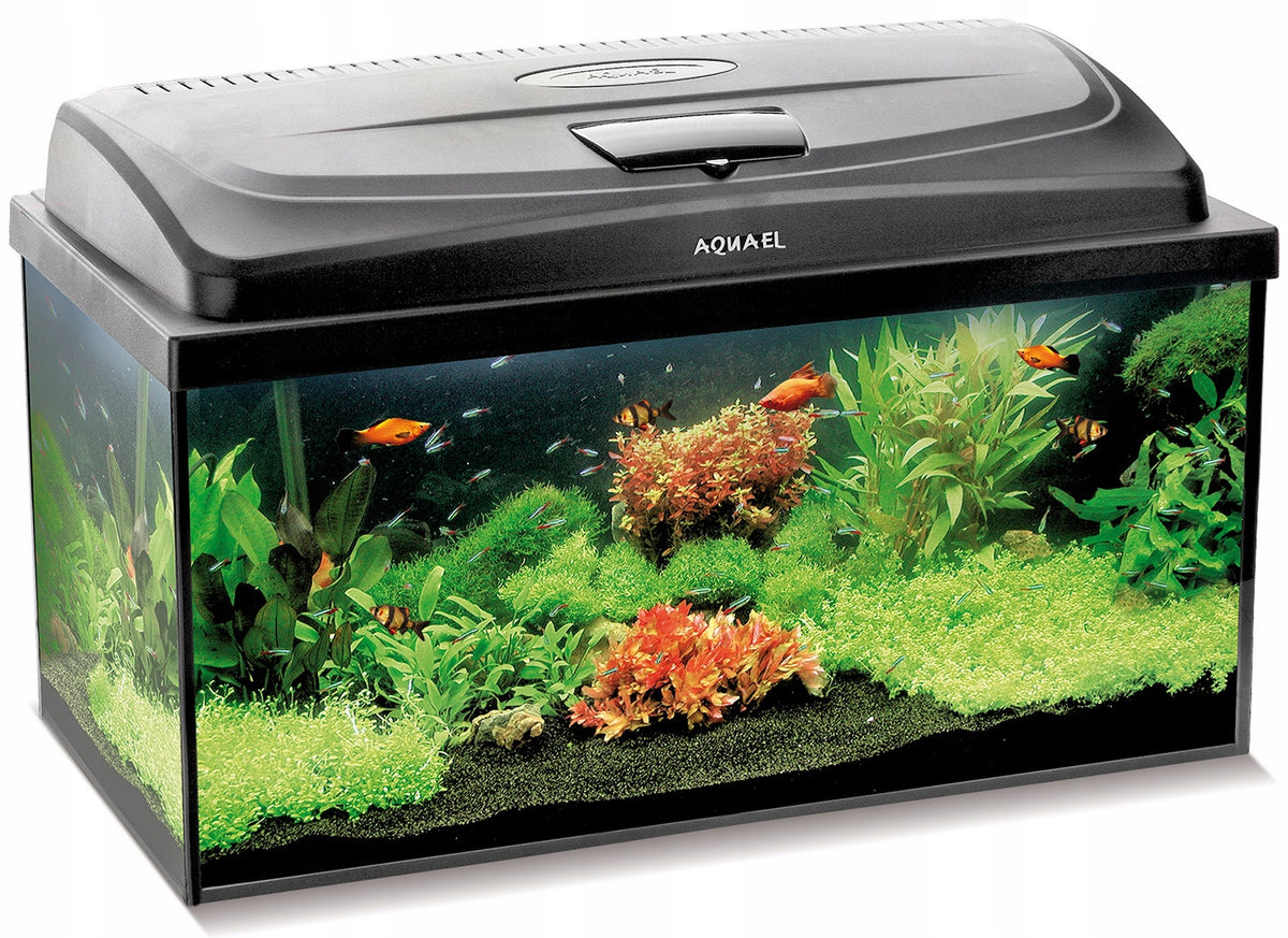 Aquael Classic Box akwarium 54 l z pokrywą LED 10 W Day & Night – zestaw 60x30x30 cm, prosta szyba
