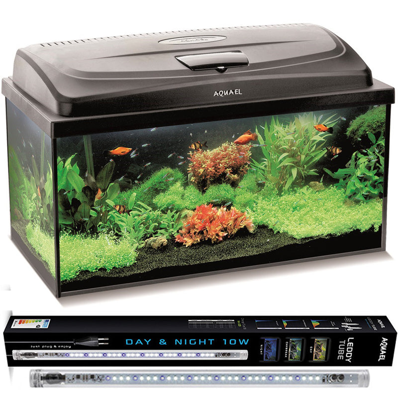 Aquael Classic Box akwarium 54 l z pokrywą LED 10 W Day & Night – zestaw 60x30x30 cm, prosta szyba