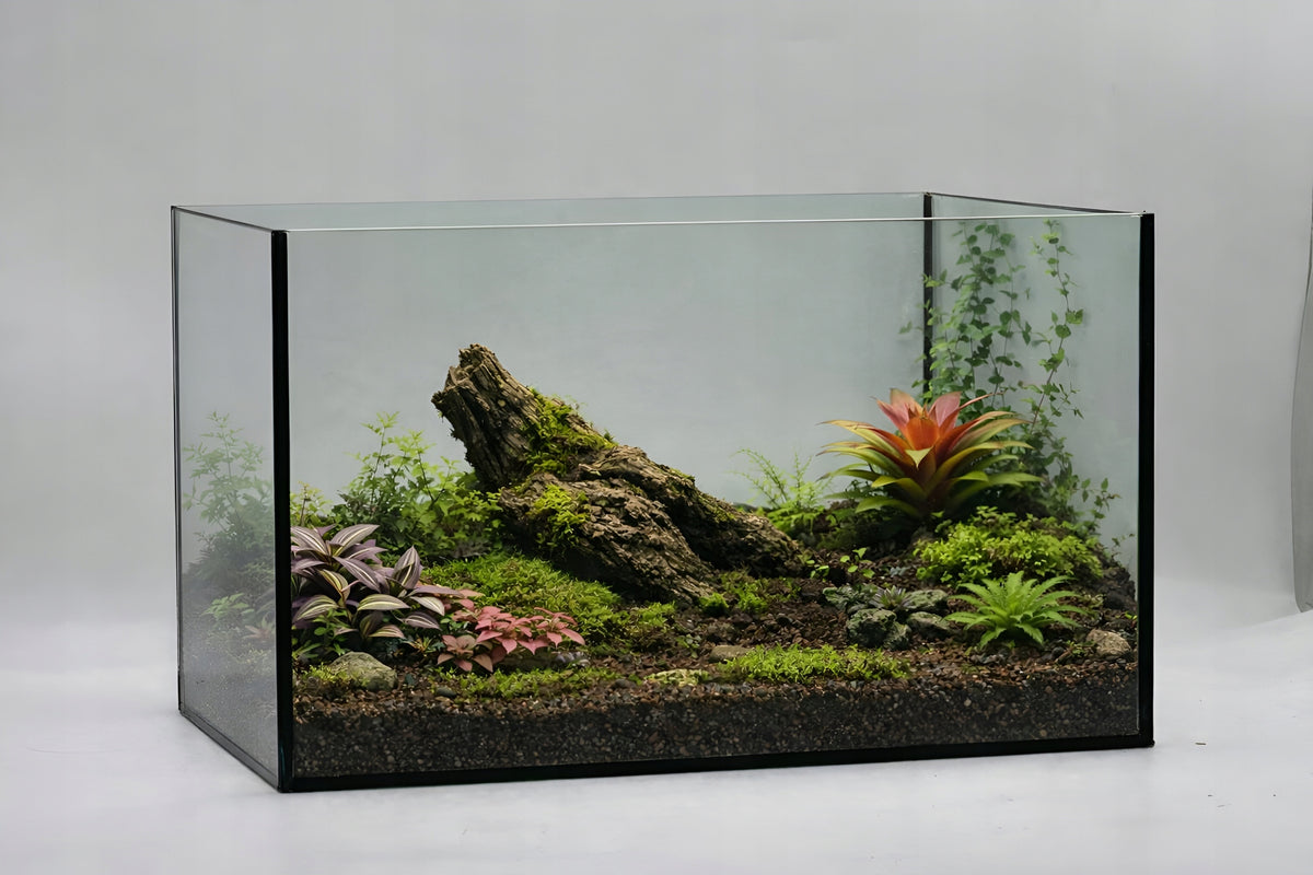 Akwarium szklane prostokątne 12 l 30x20x20 cm – szkło float 4 mm, do ryb i krewetek