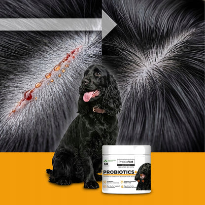 ProbioVet Probiotics+ probiotyk dla psa w kąskach na trawienie i jelita – 2x60 szt.