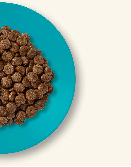 Applaws sucha karma dla kota 6 kg bezzbożowa, 80% ryb oceanicznych – ryby oceaniczne i łosoś