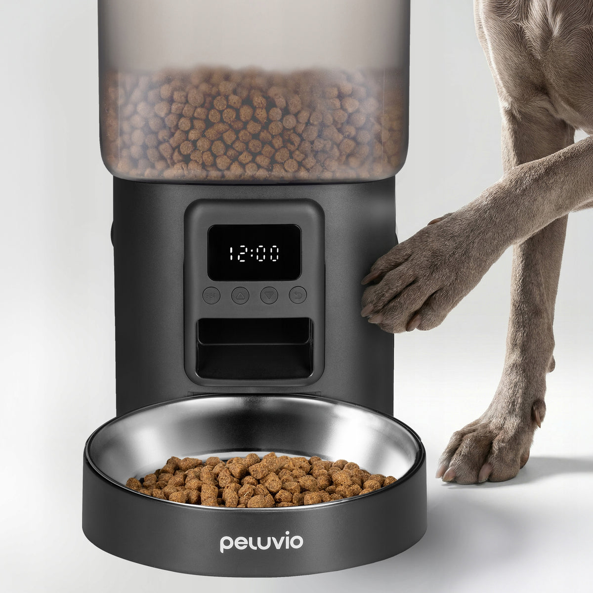 Peluvio Crispy automatyczny podajnik karmy suchej dla psa 4,5 l z miską ze stali i LCD