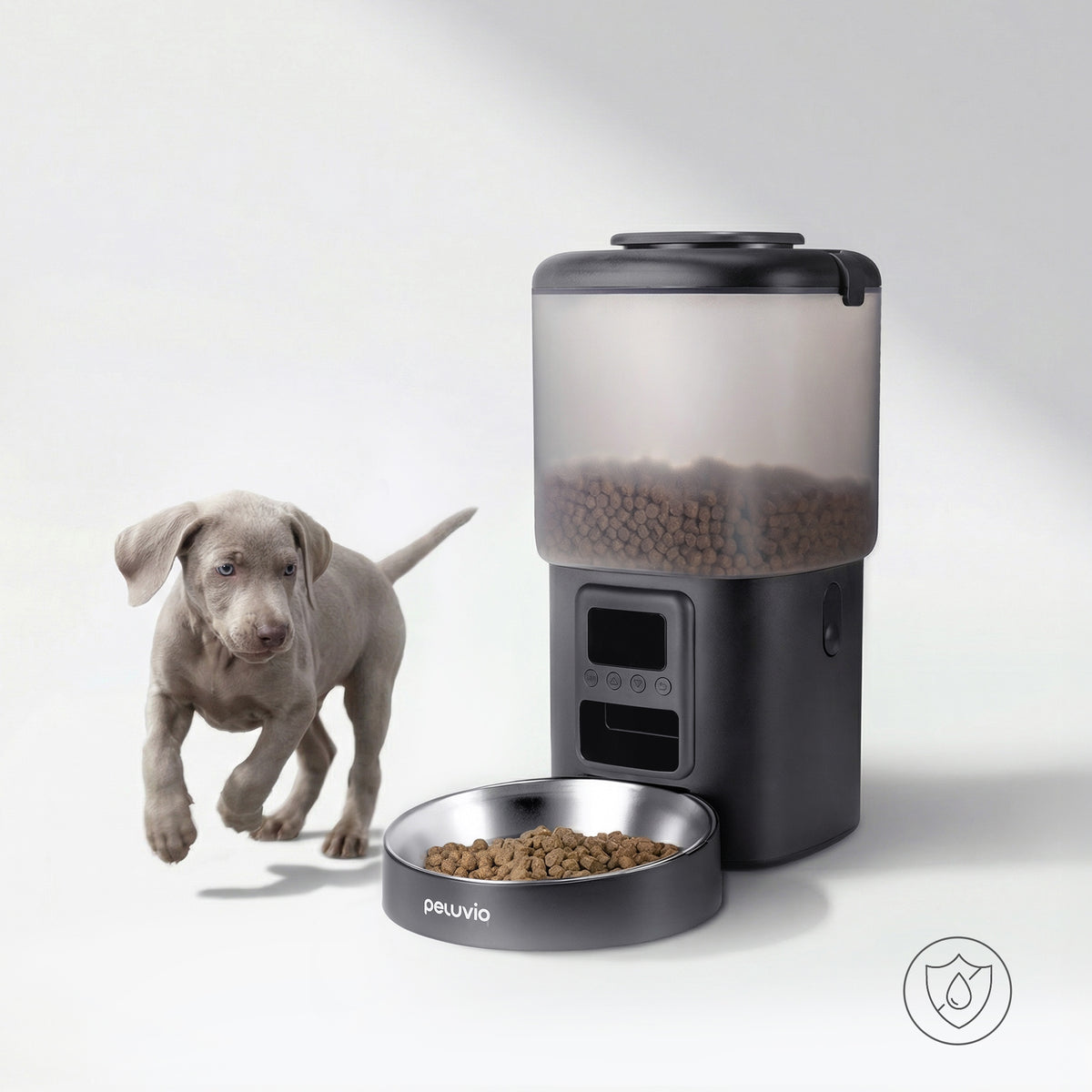 Peluvio Crispy automatyczny podajnik karmy suchej dla psa 4,5 l z miską ze stali i LCD