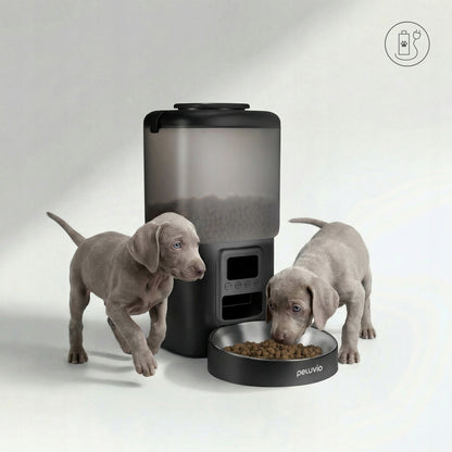 Peluvio Crispy automatyczny podajnik karmy suchej dla psa 4,5 l z miską ze stali i LCD