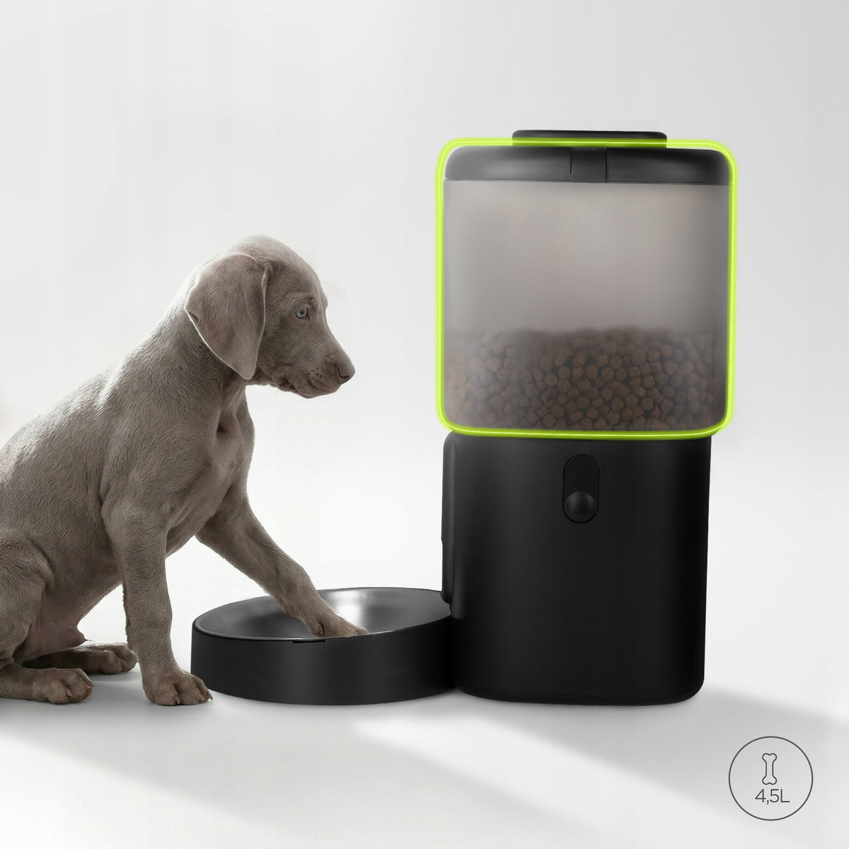 Peluvio Crispy automatyczny podajnik karmy suchej dla psa 4,5 l z miską ze stali i LCD