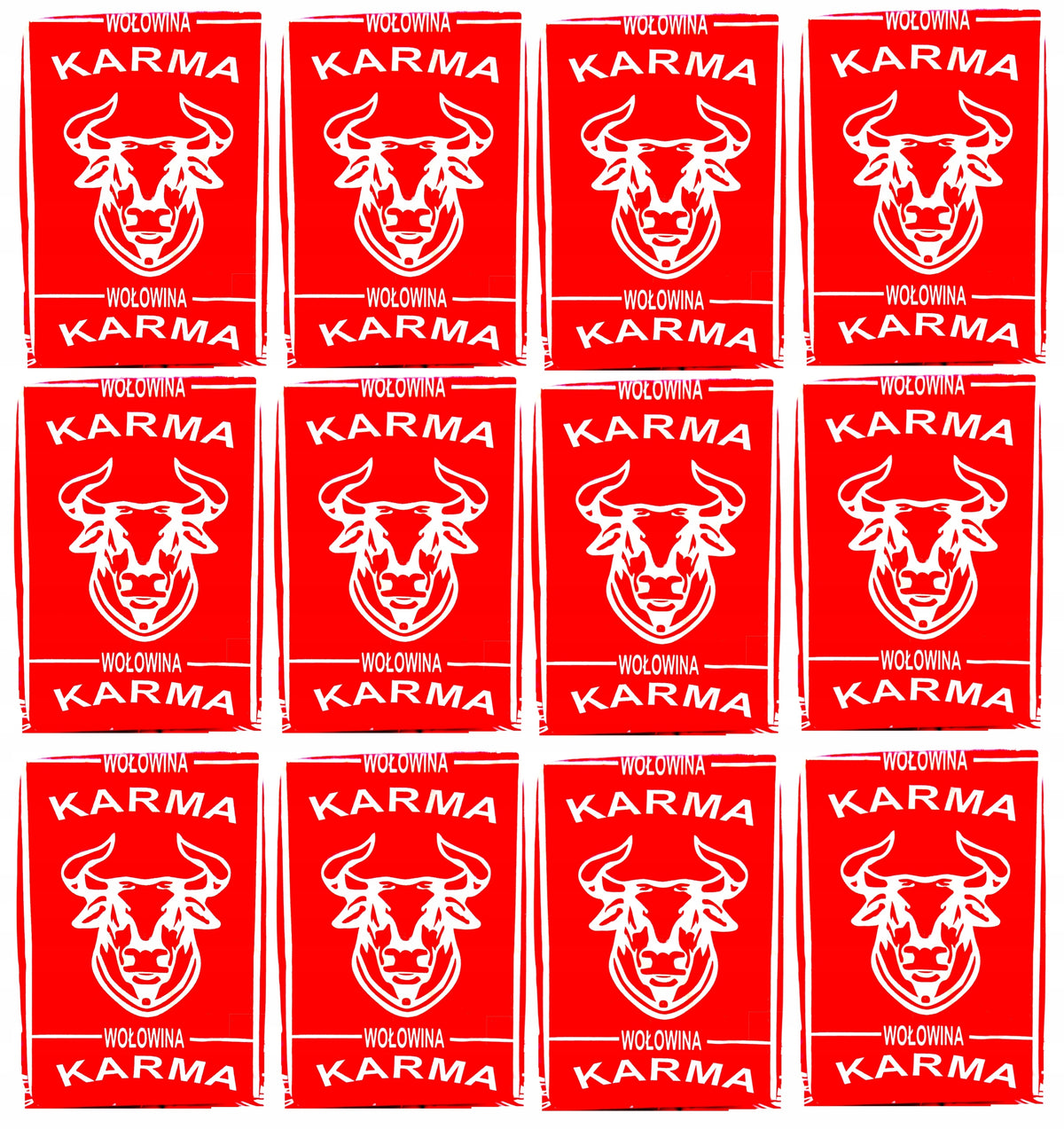 Karma BARF dla psa wołowina 10 kg – mrożona surowa, z kością, 40 kostek po 250 g