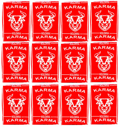 Karma BARF dla psa wołowina 10 kg – mrożona surowa, z kością, 40 kostek po 250 g