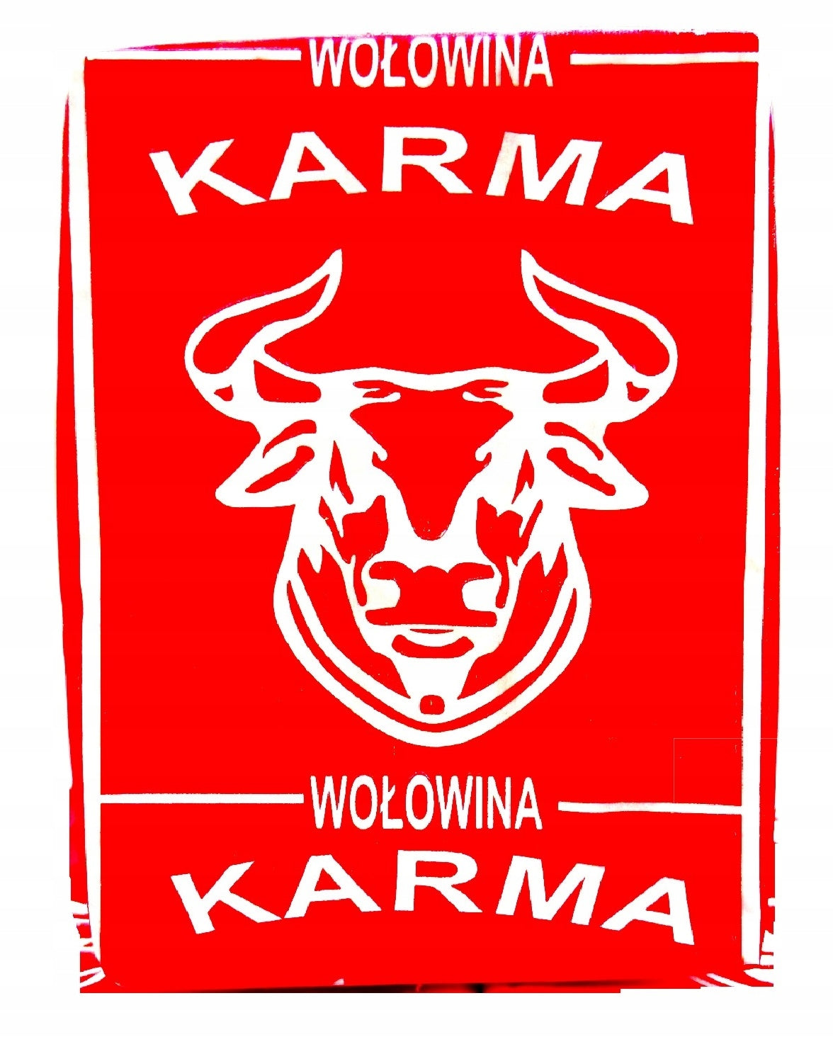 Karma BARF dla psa wołowina 10 kg – mrożona surowa, z kością, 40 kostek po 250 g