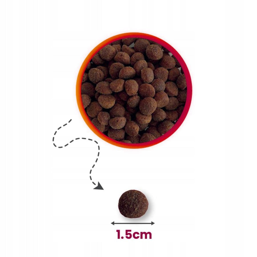 BioFeed VitalFit sucha karma dla psa 3 kg z wołowiną – dla średnich i dużych ras, dorosłych