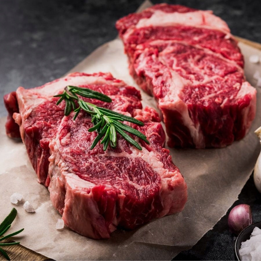 BioFeed VitalFit sucha karma dla psa 3 kg z wołowiną – dla średnich i dużych ras, dorosłych