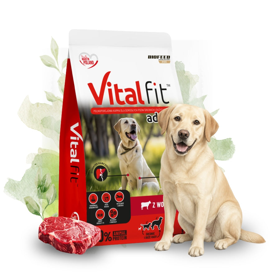 BioFeed VitalFit sucha karma dla psa 3 kg z wołowiną – dla średnich i dużych ras, dorosłych