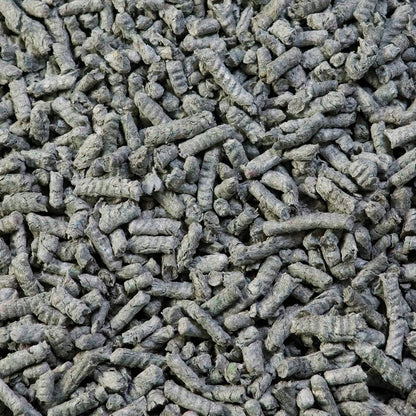 Back 2 Nature żwirek papierowy 30 l dla gryzoni i królików – bezpyłowy pellet z recyklingu