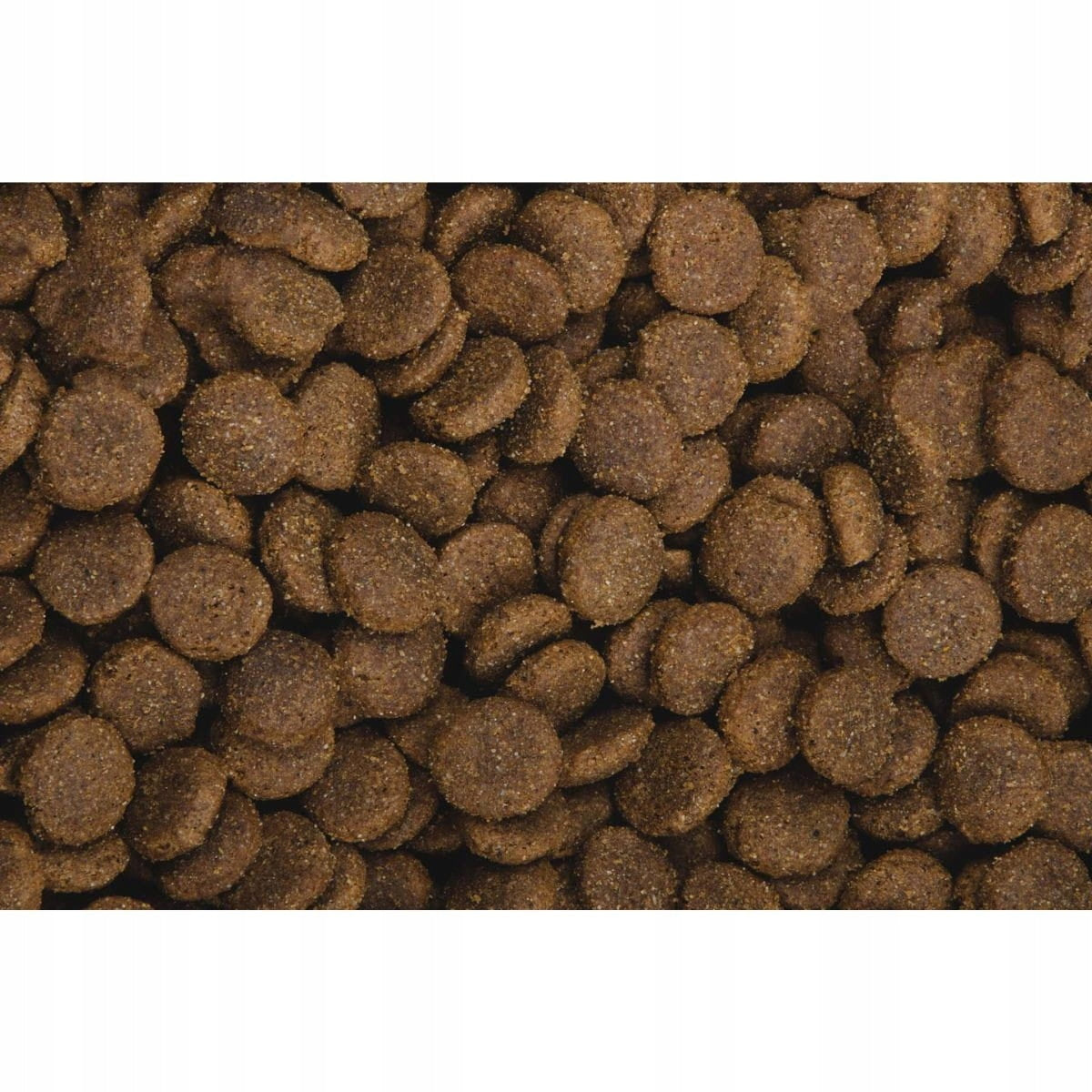 Sam's Field bezzbożowa sucha karma dla psa 13 kg – rasy duże, wołowina i cielęcina