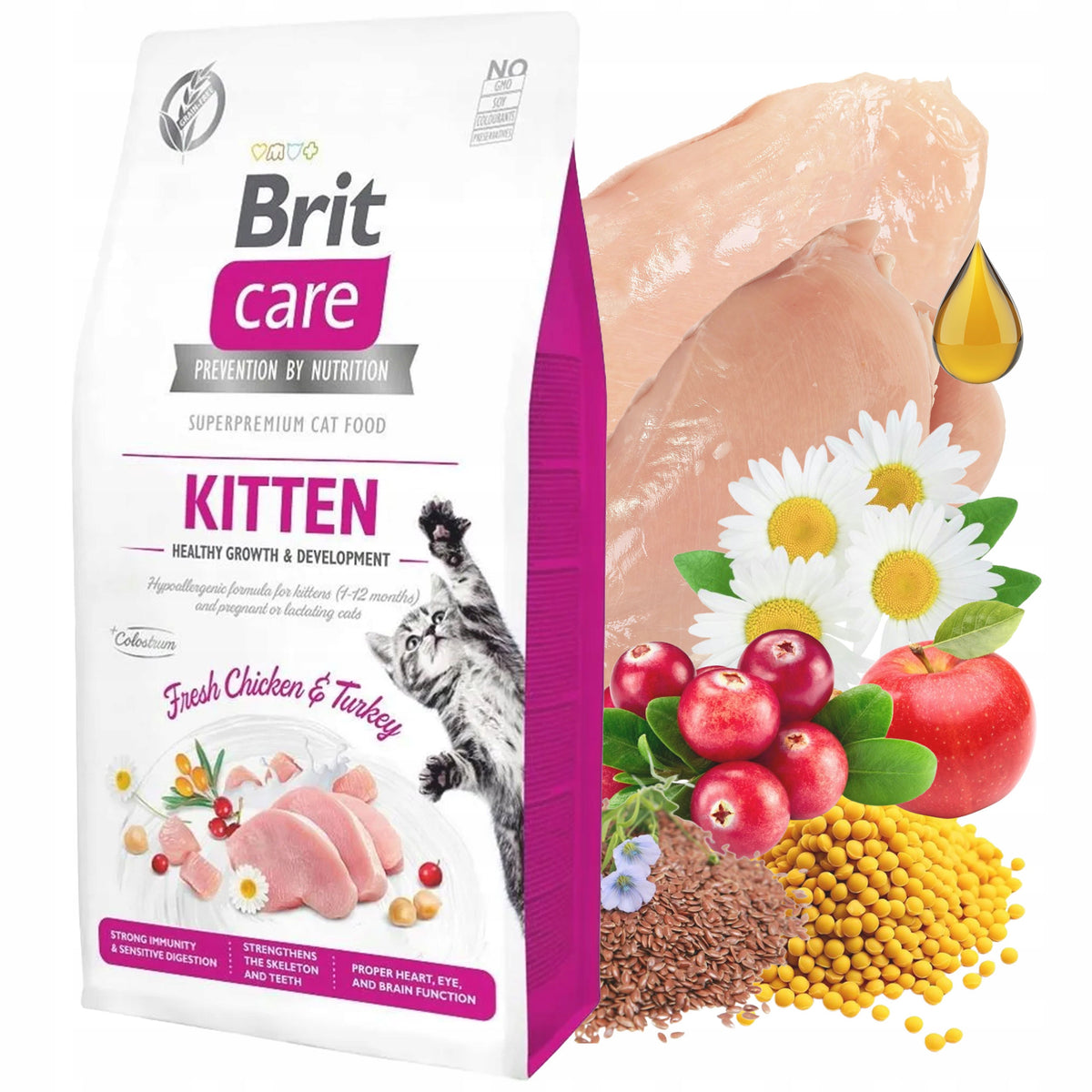 Brit Care Cat Grain-Free Kitten sucha karma dla kociąt 7 kg, bezzbożowa – kurczak