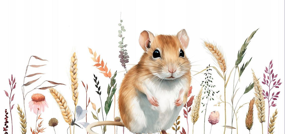 Bunny Nature Gerbil Dream Basic karma dla myszoskoczek 600 g – mieszanka 37 składników