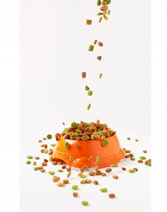 Cleo Chicken & peas sucha karma dla kotów dorosłych 20 kg – kurczak z groszkiem